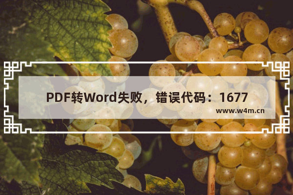 PDF转Word失败，错误代码：16777215「鼠标定位到红色感叹号上」。