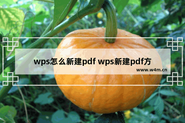 wps怎么新建pdf wps新建pdf方法【详解】