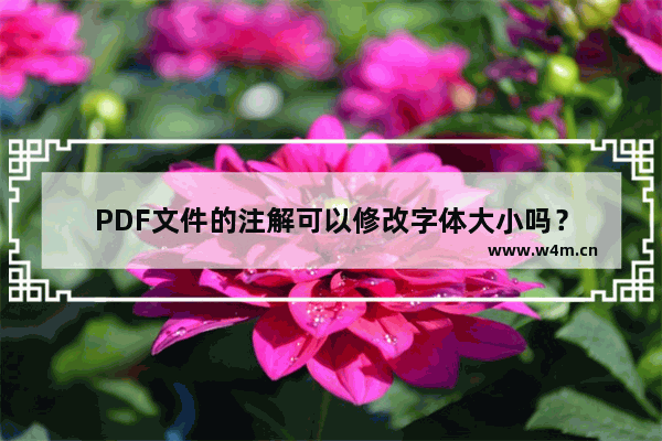 PDF文件的注解可以修改字体大小吗？