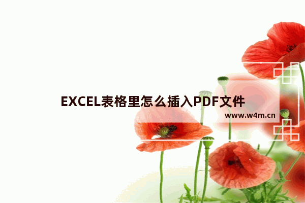 EXCEL表格里怎么插入PDF文件