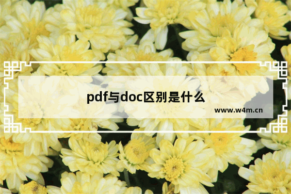 pdf与doc区别是什么