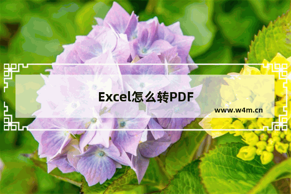 Excel怎么转PDF