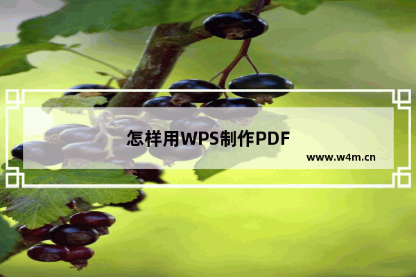 怎样用WPS制作PDF