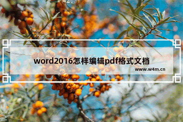 word2016怎样编辑pdf格式文档