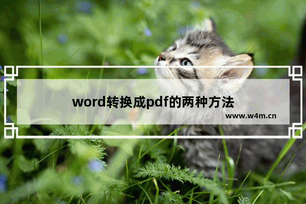 word转换成pdf的两种方法