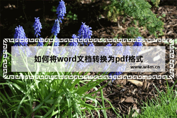 如何将word文档转换为pdf格式