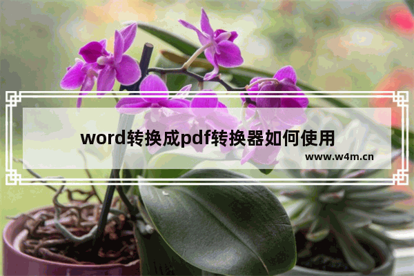 word转换成pdf转换器如何使用