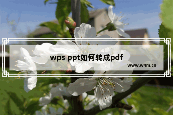 wps ppt如何转成pdf