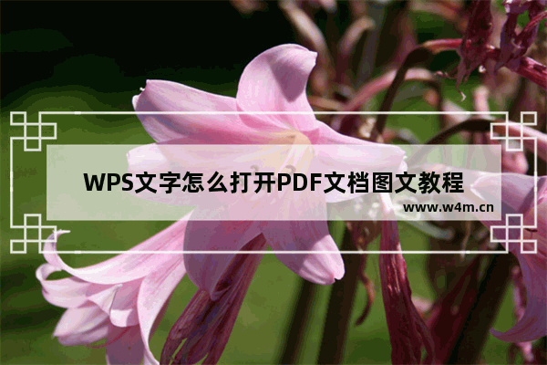 WPS文字怎么打开PDF文档图文教程