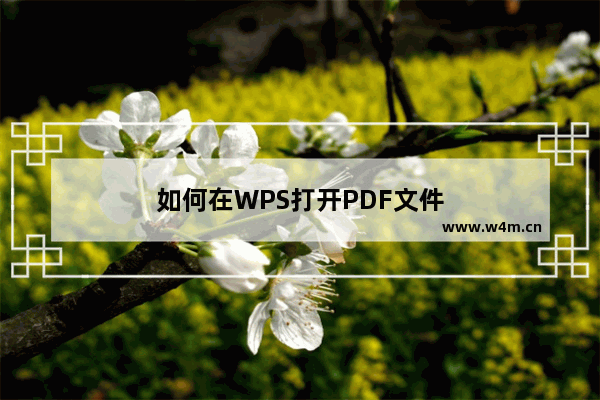 如何在WPS打开PDF文件