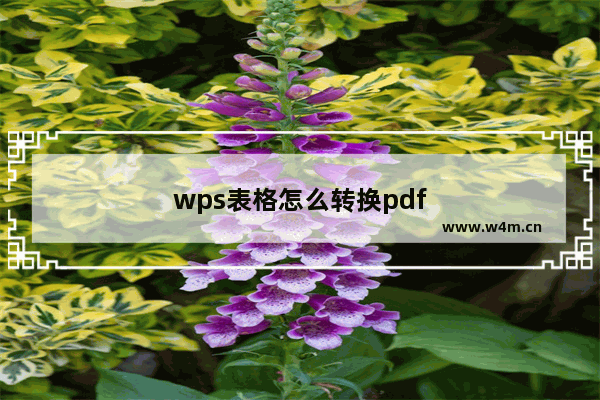 wps表格怎么转换pdf