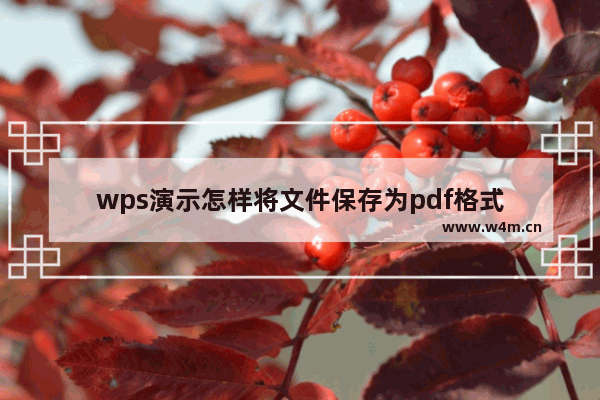 wps演示怎样将文件保存为pdf格式