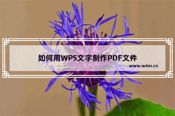 如何用WPS文字制作PDF文件