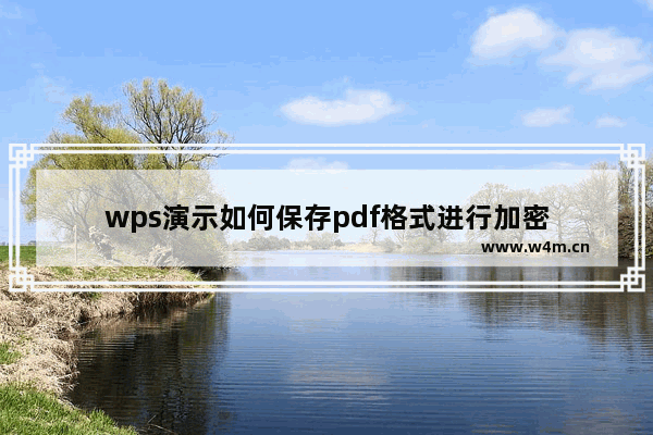 wps演示如何保存pdf格式进行加密