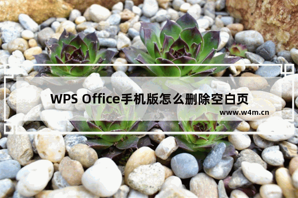 WPS Office手机版怎么删除空白页