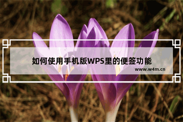 如何使用手机版WPS里的便签功能