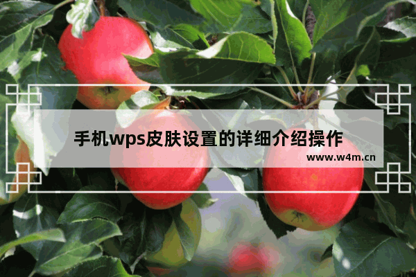 手机wps皮肤设置的详细介绍操作