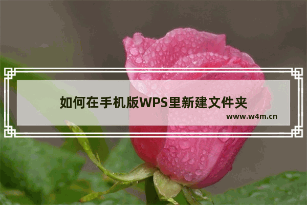 如何在手机版WPS里新建文件夹