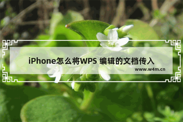 iPhone怎么将WPS 编辑的文档传入电脑?