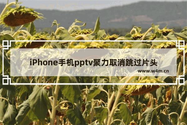 iPhone手机pptv聚力取消跳过片头片尾