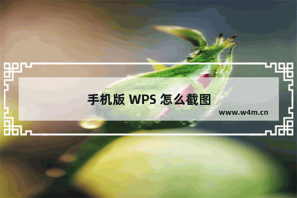 手机版 WPS 怎么截图