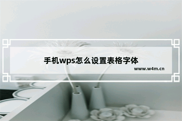 手机wps怎么设置表格字体