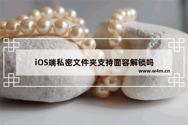 iOS端私密文件夹支持面容解锁吗