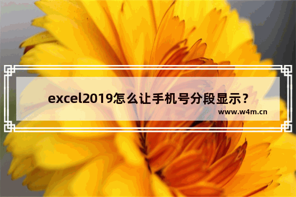 excel2019怎么让手机号分段显示？excel2019数字分段显示教程