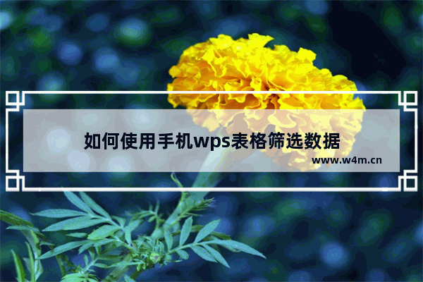 如何使用手机wps表格筛选数据