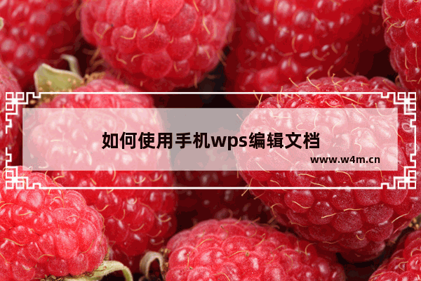 如何使用手机wps编辑文档