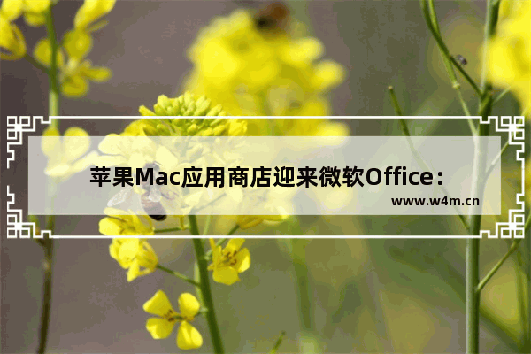 苹果Mac应用商店迎来微软Office：终于支持捆绑订阅