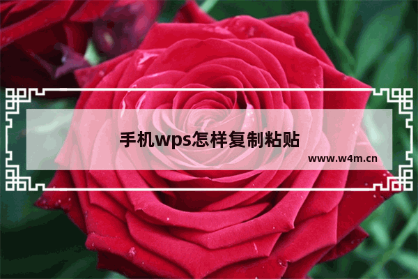 手机wps怎样复制粘贴