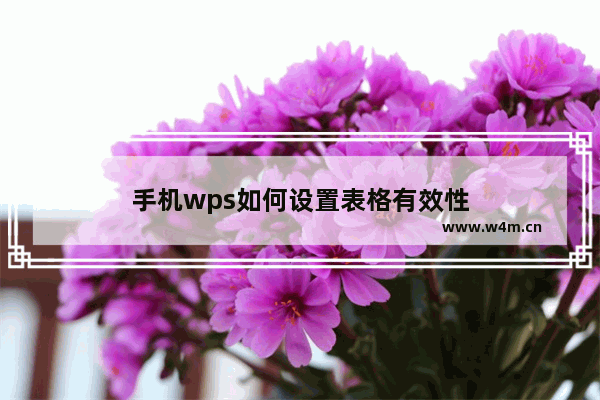 手机wps如何设置表格有效性