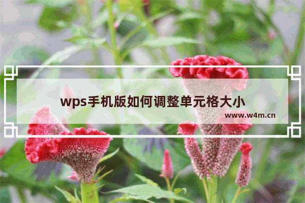 wps手机版如何调整单元格大小