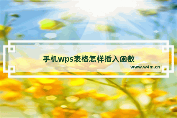 手机wps表格怎样插入函数