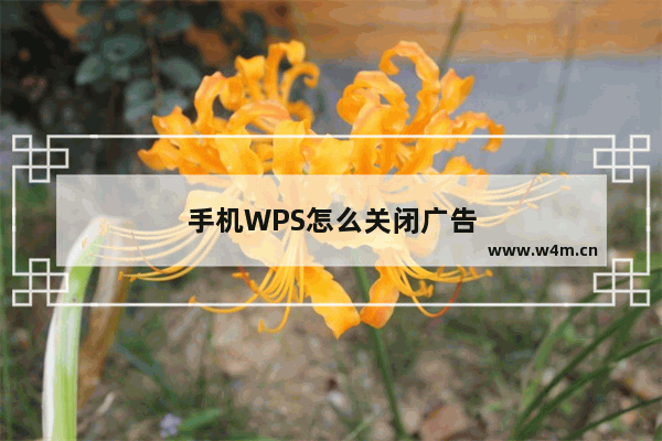 手机WPS怎么关闭广告