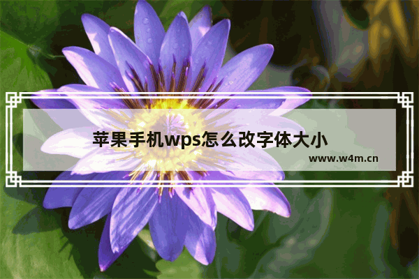 苹果手机wps怎么改字体大小