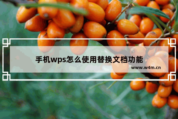 手机wps怎么使用替换文档功能