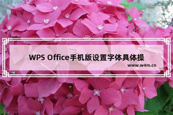 WPS Office手机版设置字体具体操作步骤