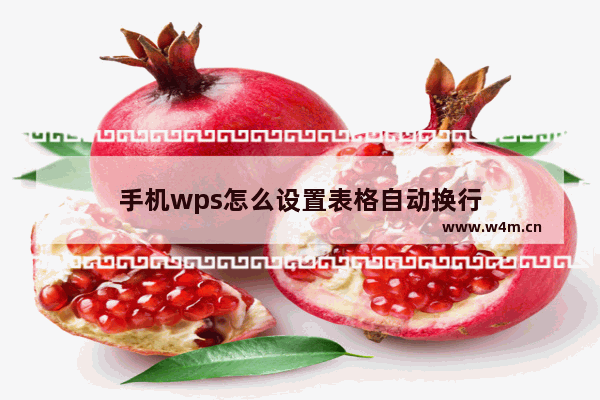 手机wps怎么设置表格自动换行