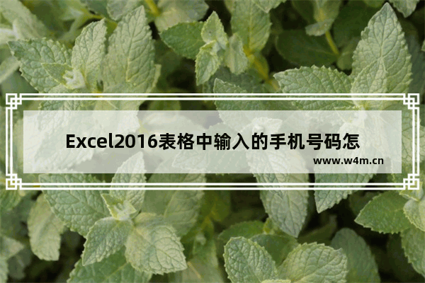 Excel2016表格中输入的手机号码怎么分段显示?