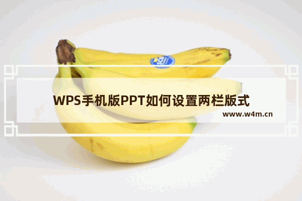 WPS手机版PPT如何设置两栏版式