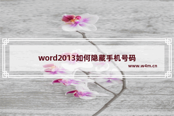 word2013如何隐藏手机号码