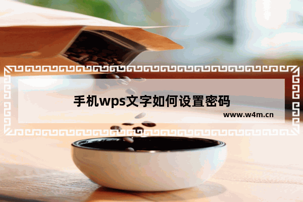 手机wps文字如何设置密码