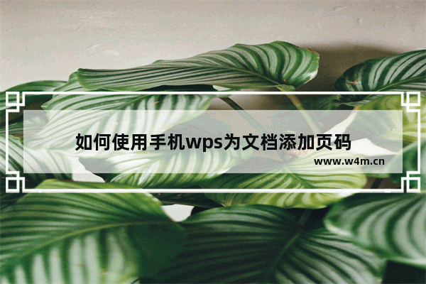 如何使用手机wps为文档添加页码