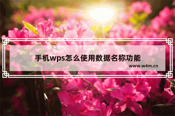 手机wps怎么使用数据名称功能