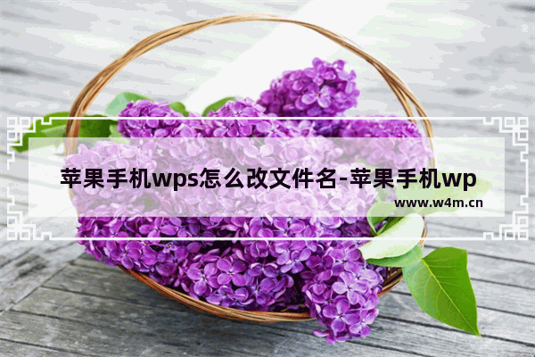 苹果手机wps怎么改文件名-苹果手机wps修改文件名称的方法