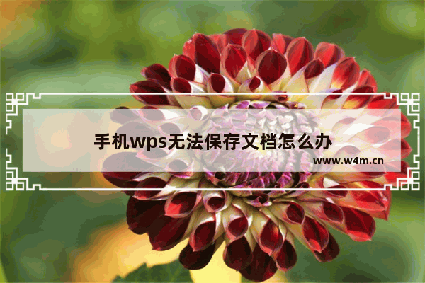 手机wps无法保存文档怎么办