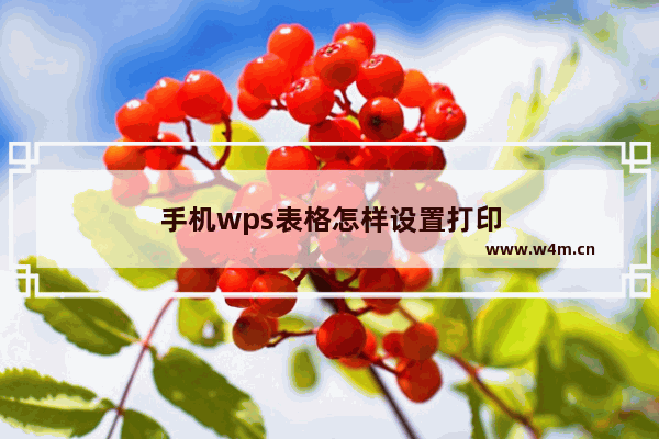 手机wps表格怎样设置打印