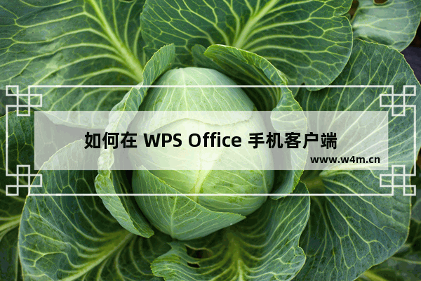 如何在 WPS Office 手机客户端里查看文档的历史版本